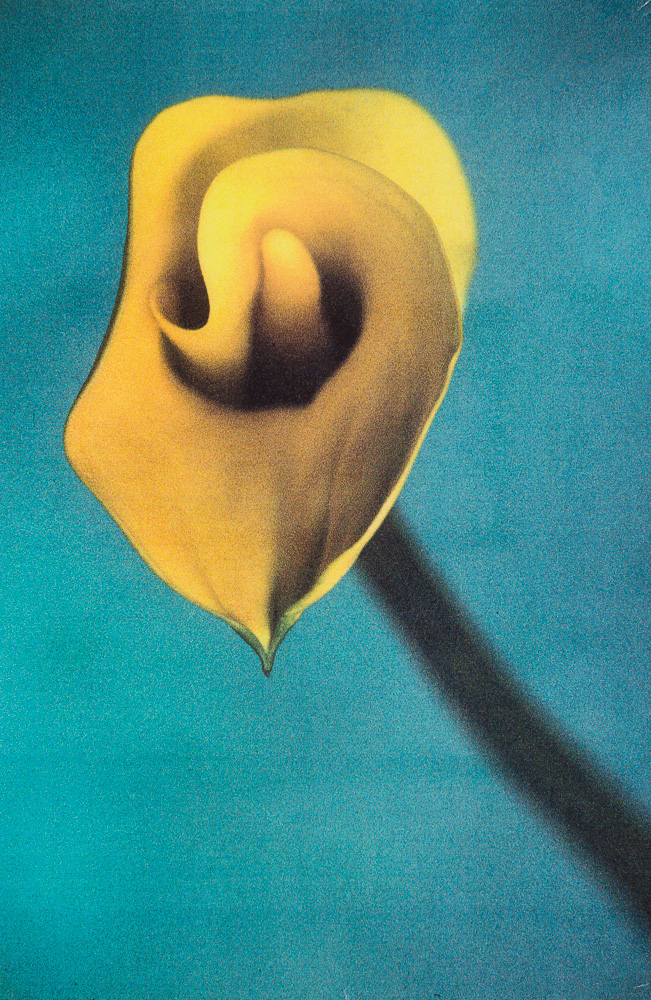 Calla I