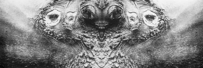 Drohne