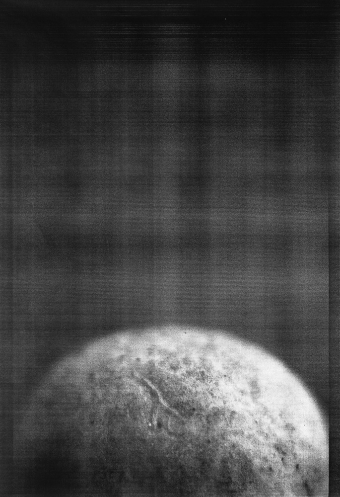 Pilz